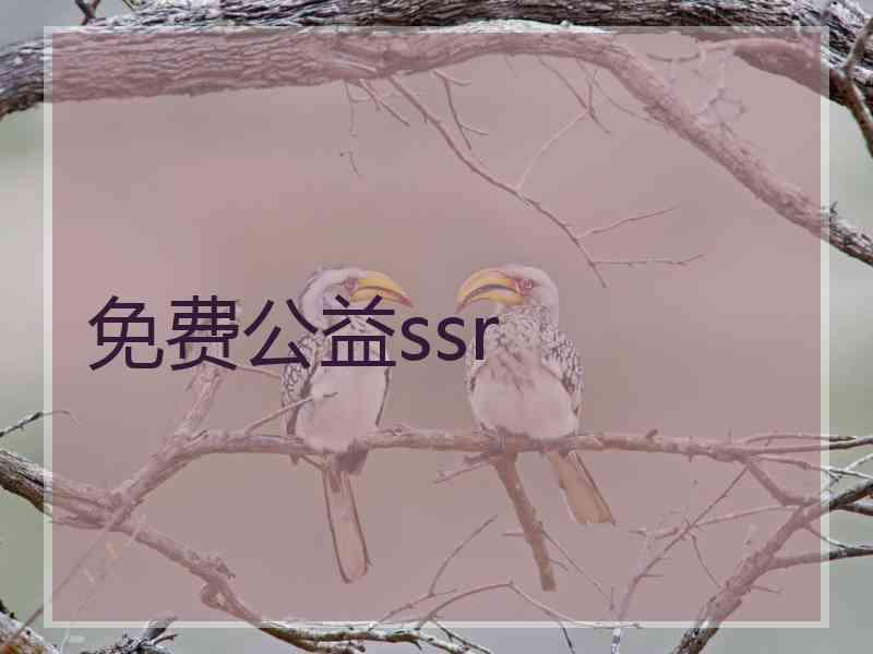 免费公益ssr