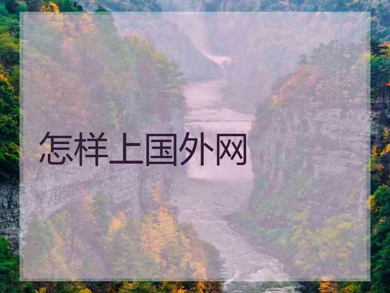 怎样上国外网