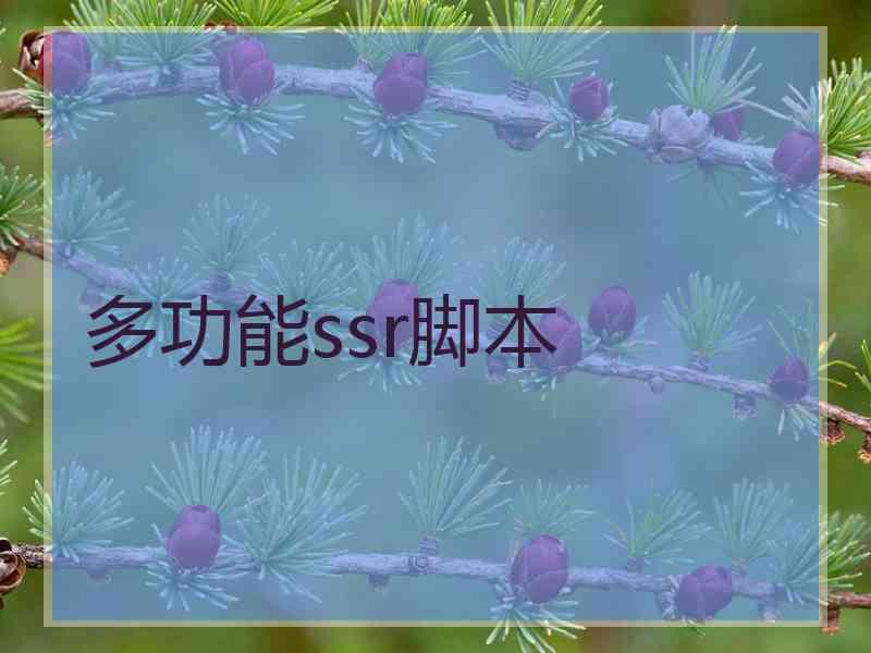 多功能ssr脚本