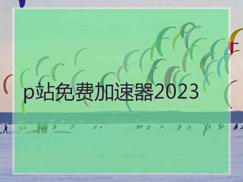 p站免费加速器2023