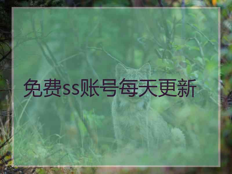 免费ss账号每天更新