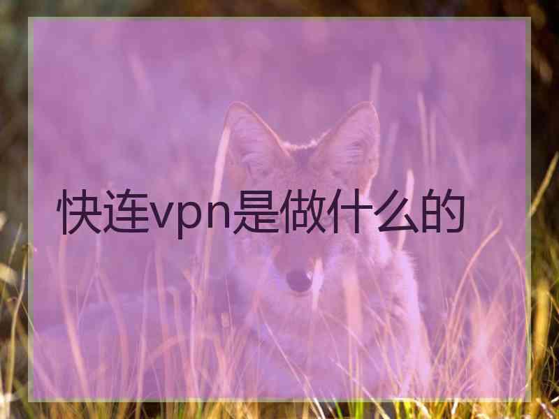 快连vpn是做什么的