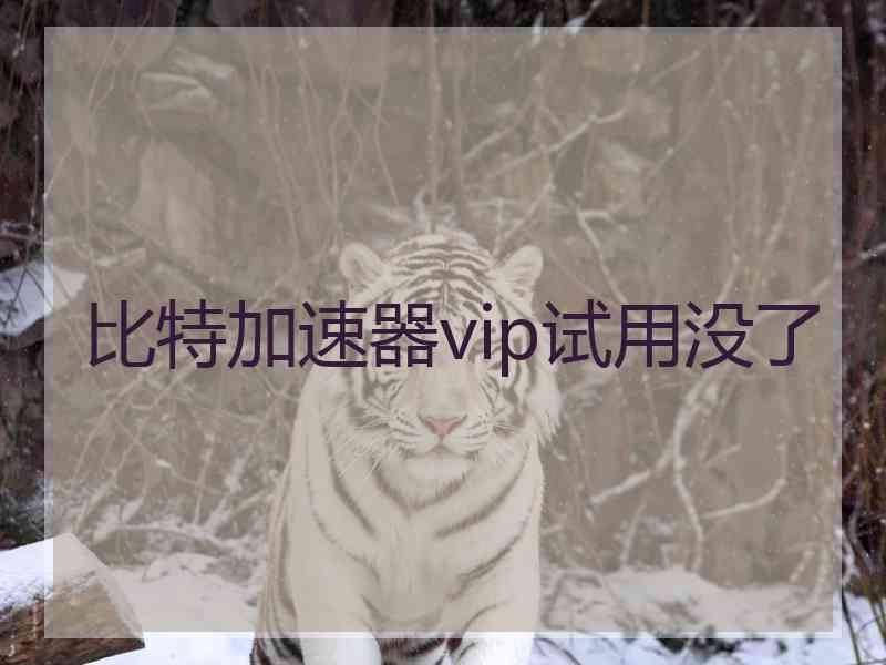 比特加速器vip试用没了