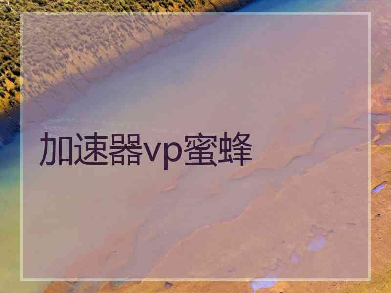 加速器vp蜜蜂