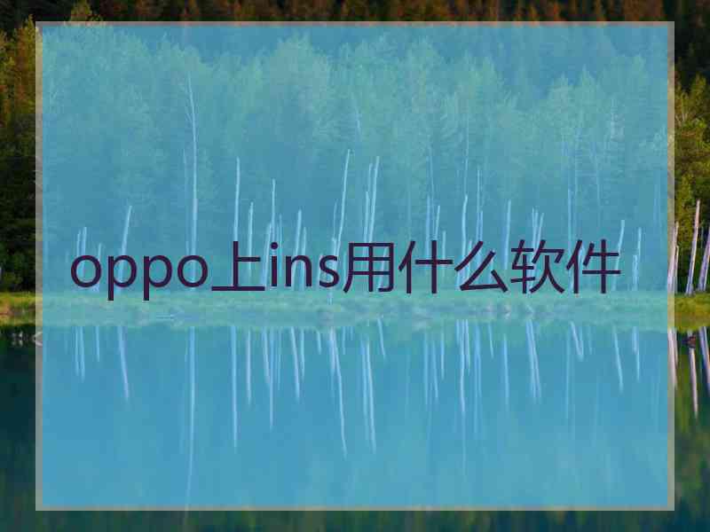 oppo上ins用什么软件