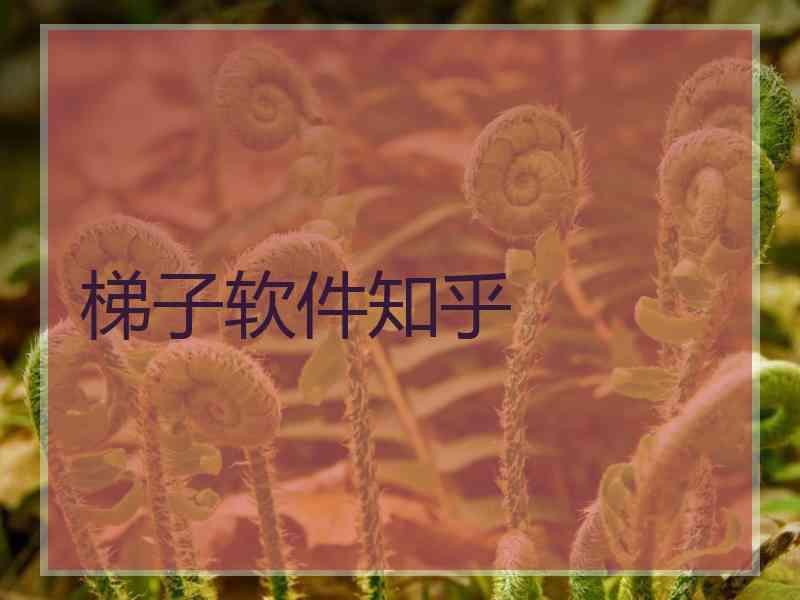 梯子软件知乎