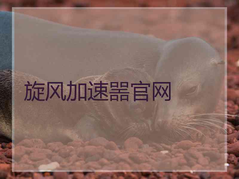旋风加速噐官网
