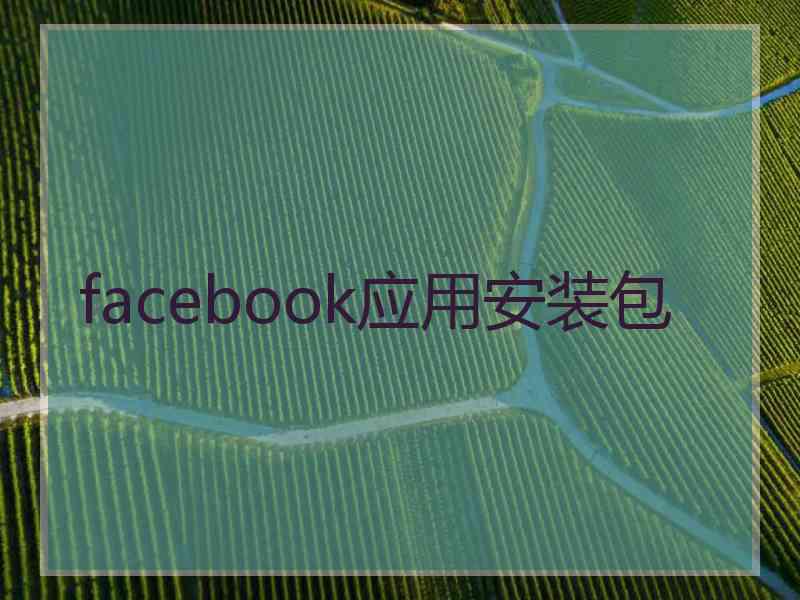 facebook应用安装包