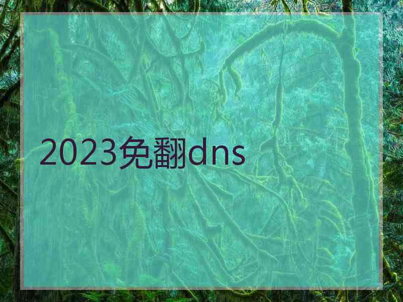 2023免翻dns