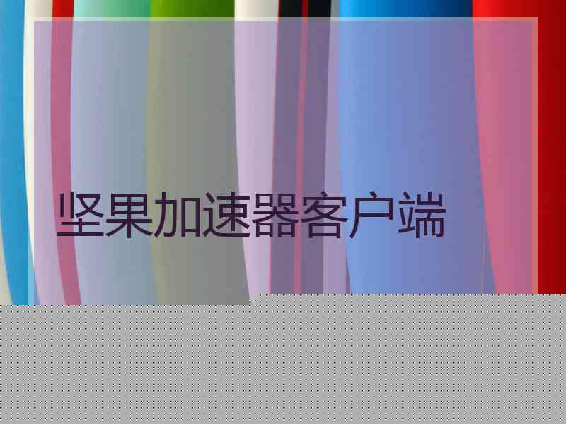 坚果加速器客户端
