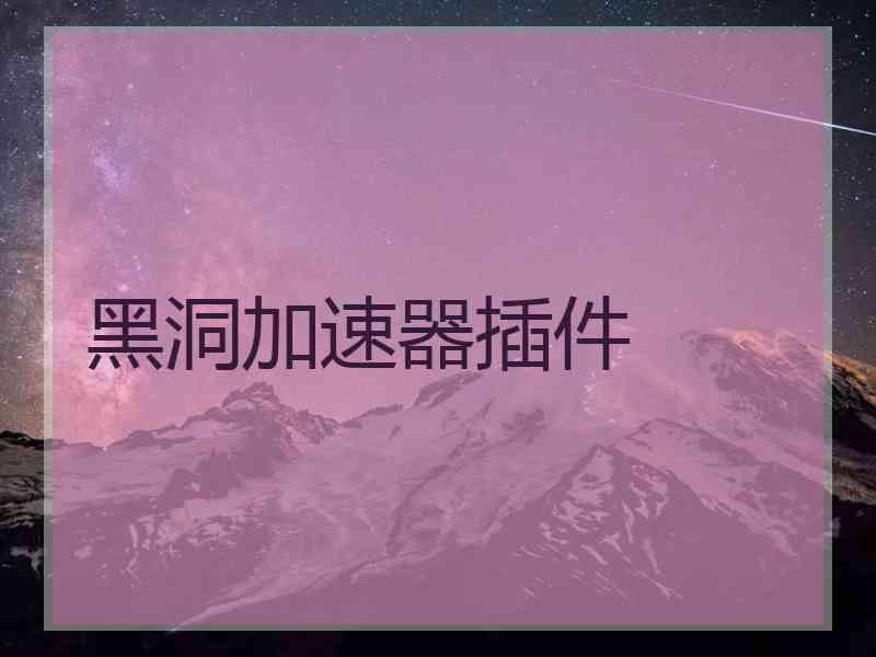 黑洞加速器插件