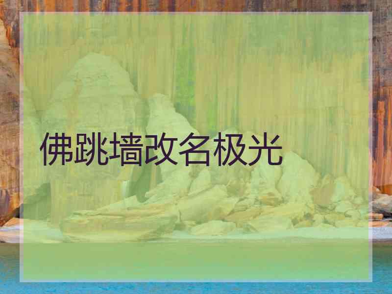佛跳墙改名极光