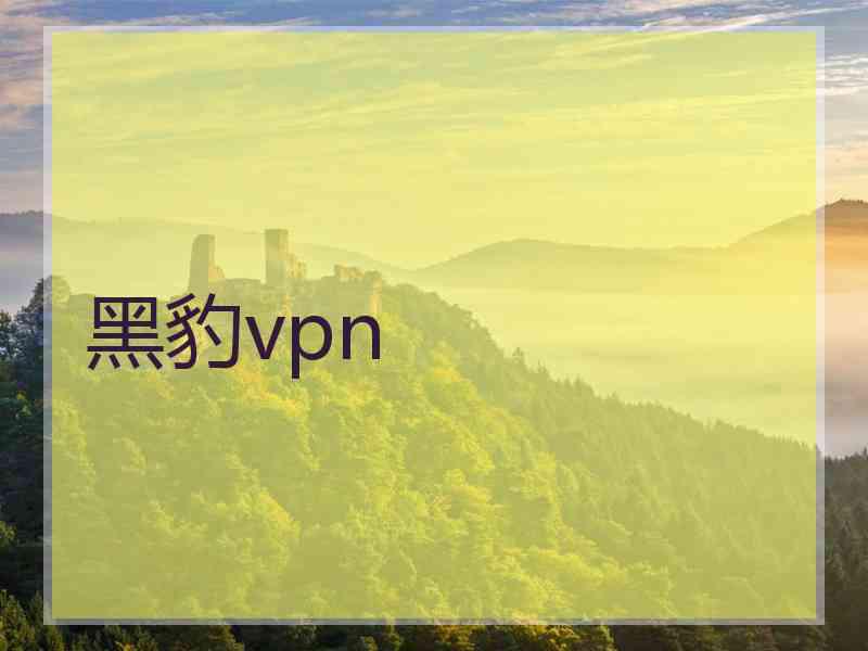 黑豹vpn