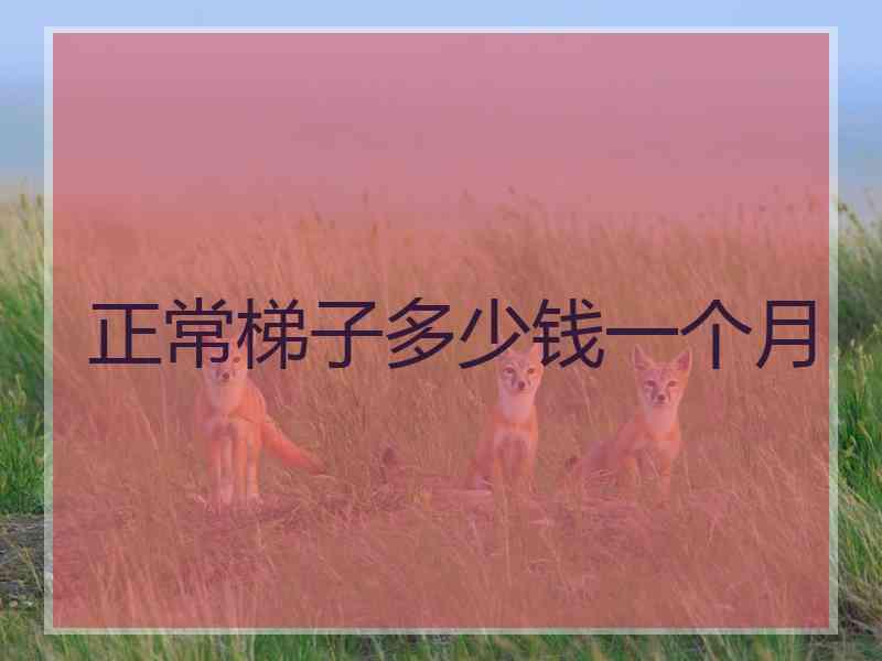 正常梯子多少钱一个月
