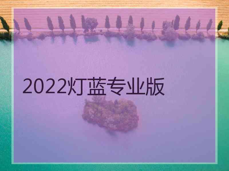 2022灯蓝专业版