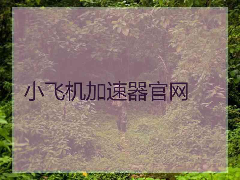 小飞机加速器官网