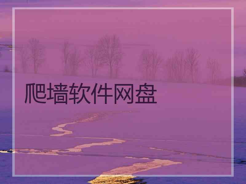 爬墙软件网盘