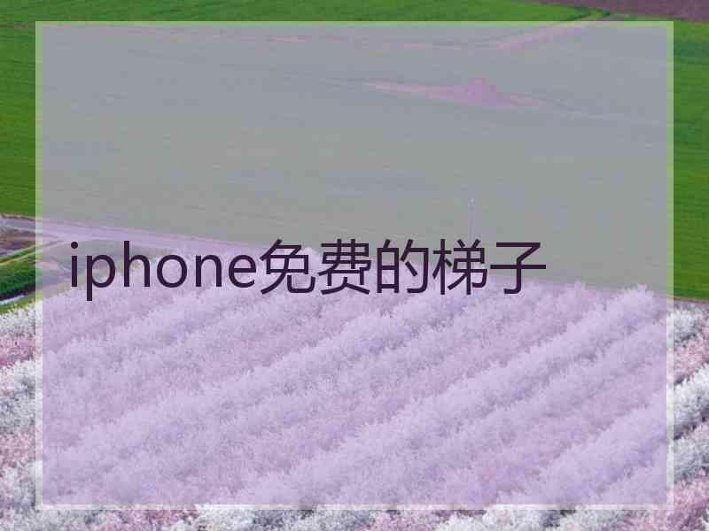 iphone免费的梯子