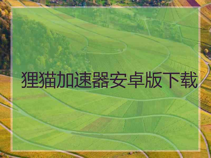 狸猫加速器安卓版下载