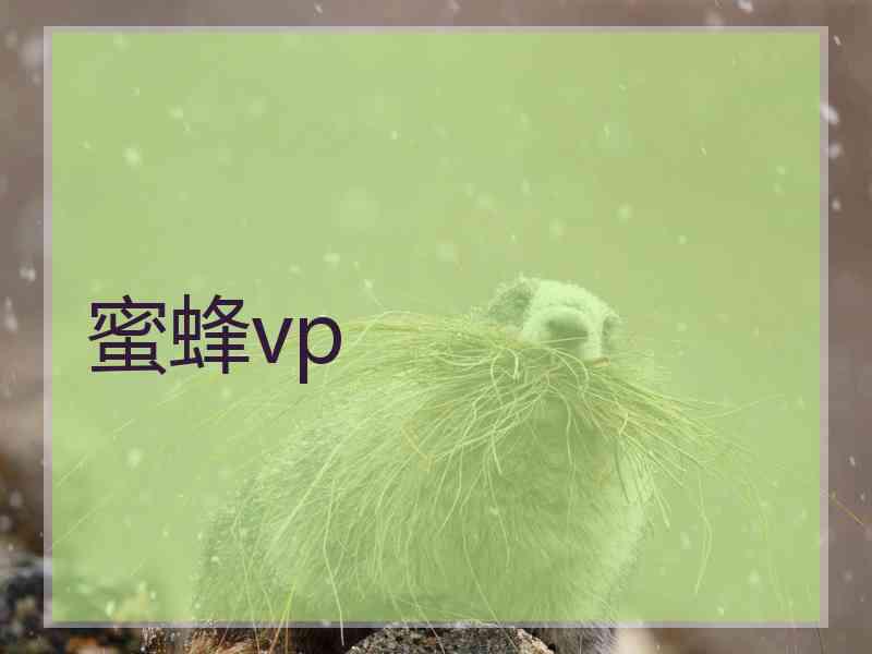 蜜蜂vp