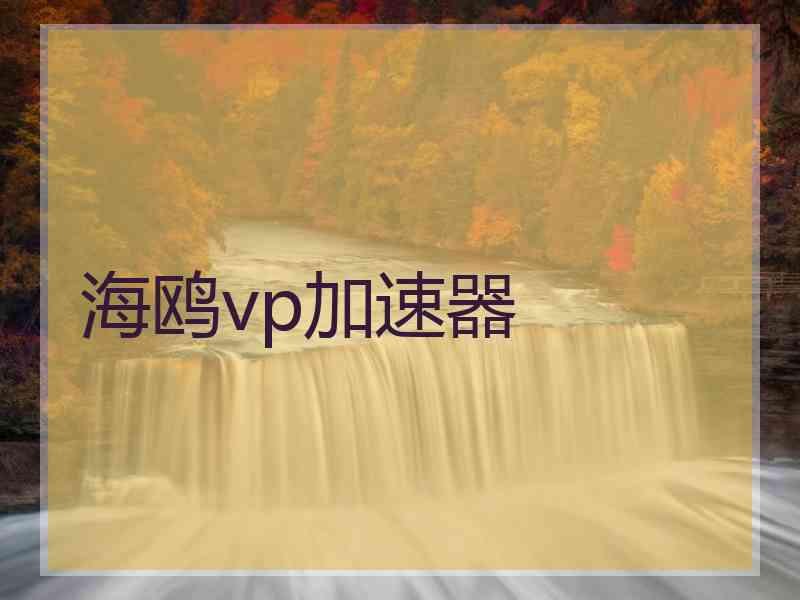 海鸥vp加速器