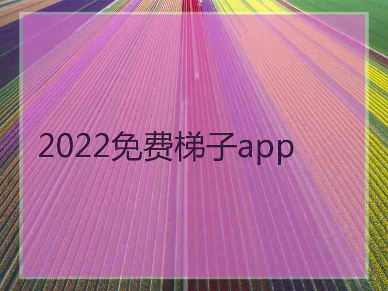 2022免费梯子app