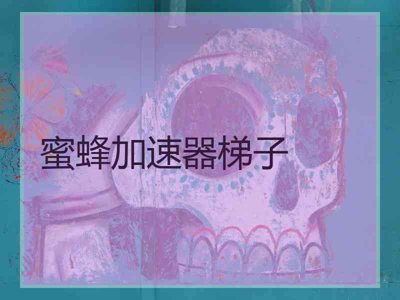 蜜蜂加速器梯子