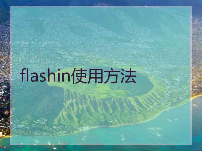 flashin使用方法