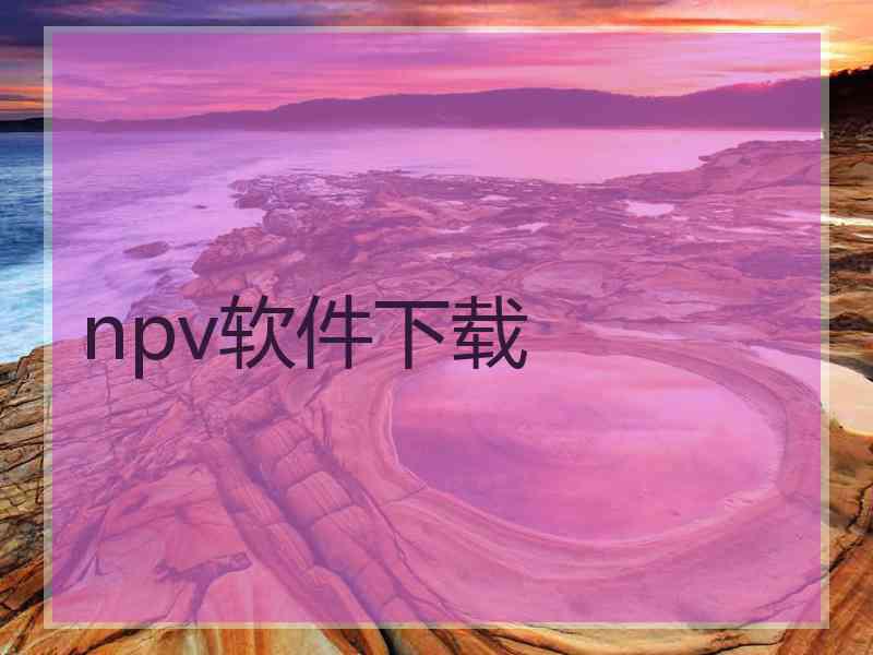 npv软件下载