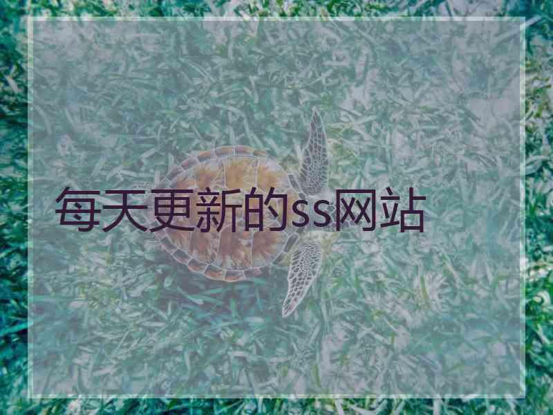 每天更新的ss网站