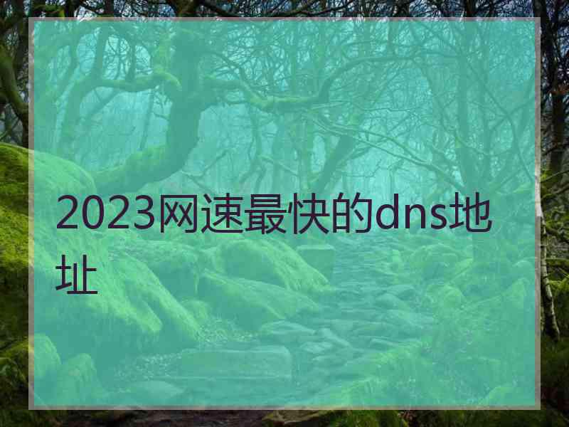 2023网速最快的dns地址