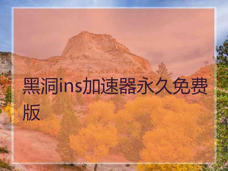 黑洞ins加速器永久免费版