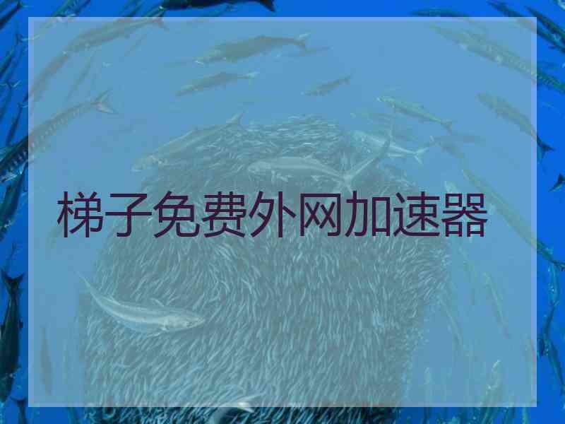 梯子免费外网加速器