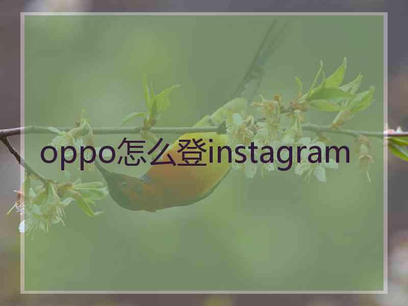 oppo怎么登instagram