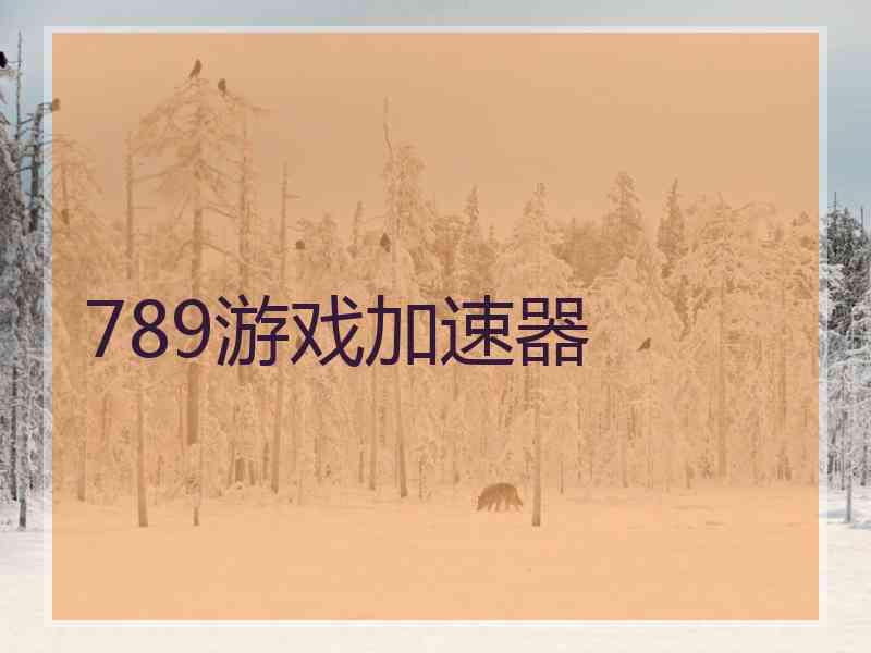 789游戏加速器