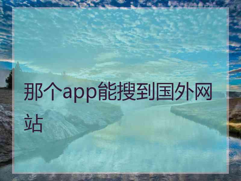 那个app能搜到国外网站