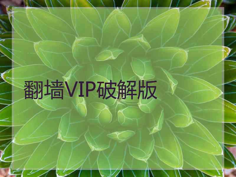 翻墙VIP破解版