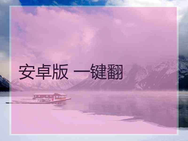 安卓版 一键翻