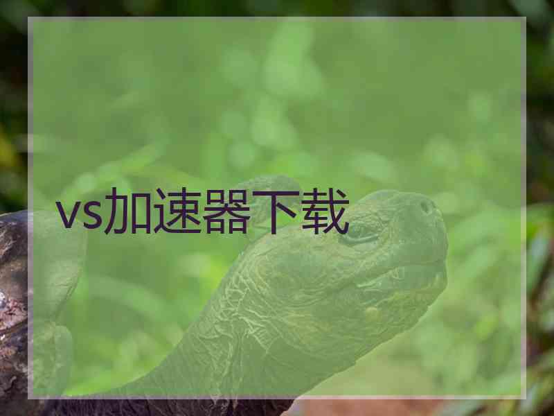 vs加速器下载