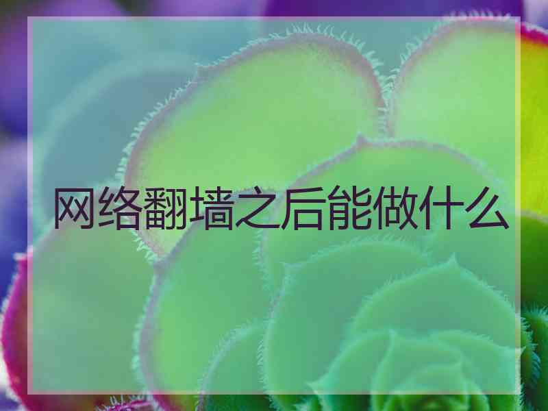 网络翻墙之后能做什么