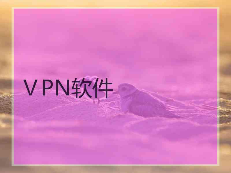 ⅤPN软件