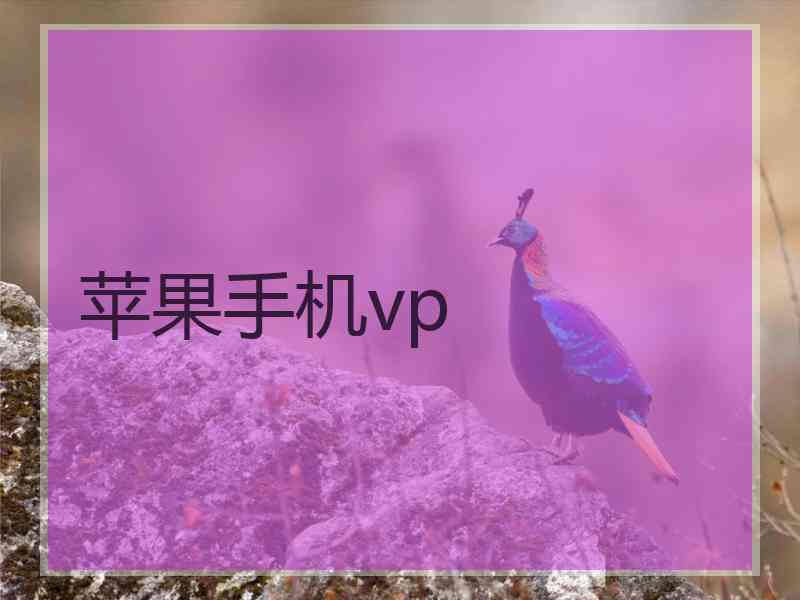 苹果手机vp