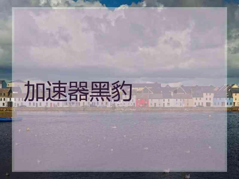加速器黑豹