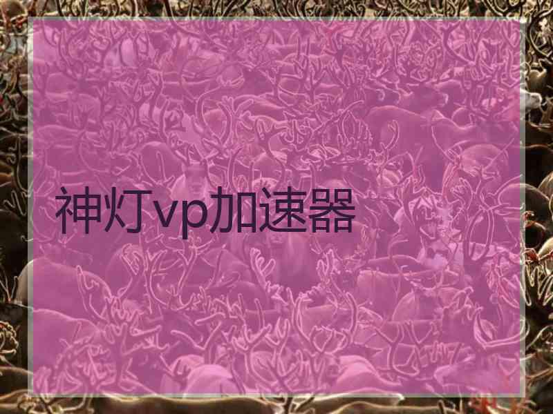 神灯vp加速器