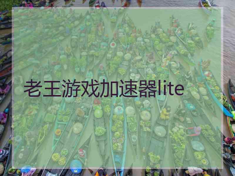 老王游戏加速器lite