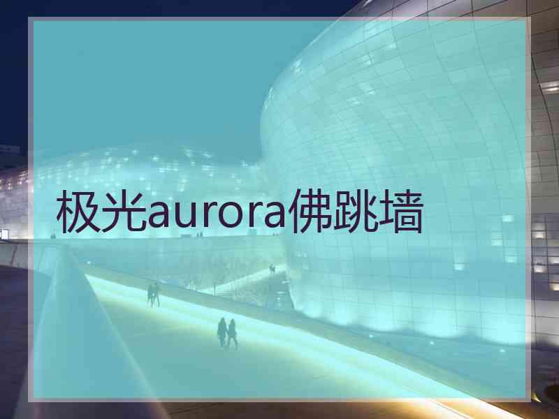 极光aurora佛跳墙