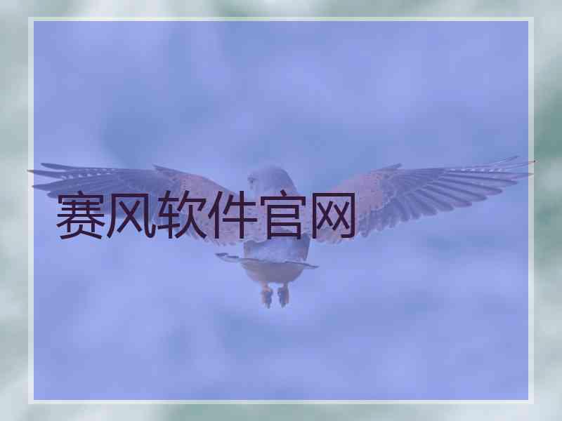 赛风软件官网