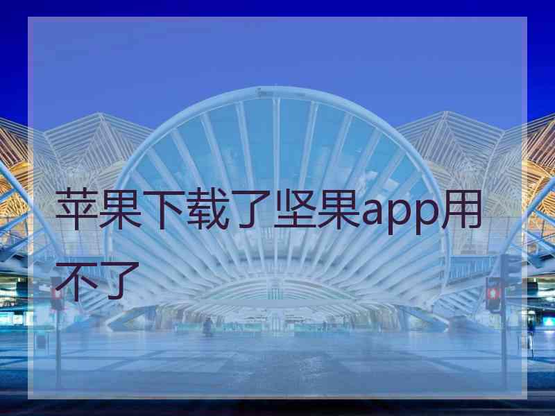 苹果下载了坚果app用不了