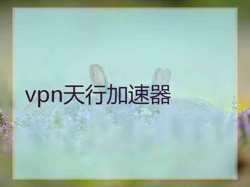 vpn天行加速器