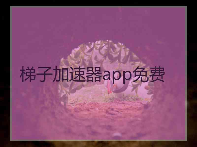 梯子加速器app免费